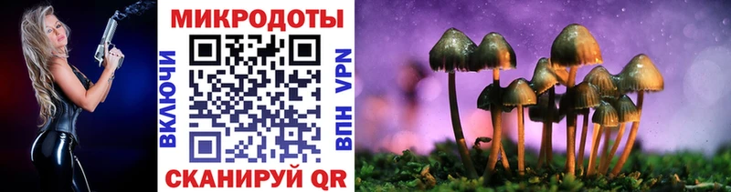 Галлюциногенные грибы Psilocybine cubensis  даркнет сайт  Отрадное 