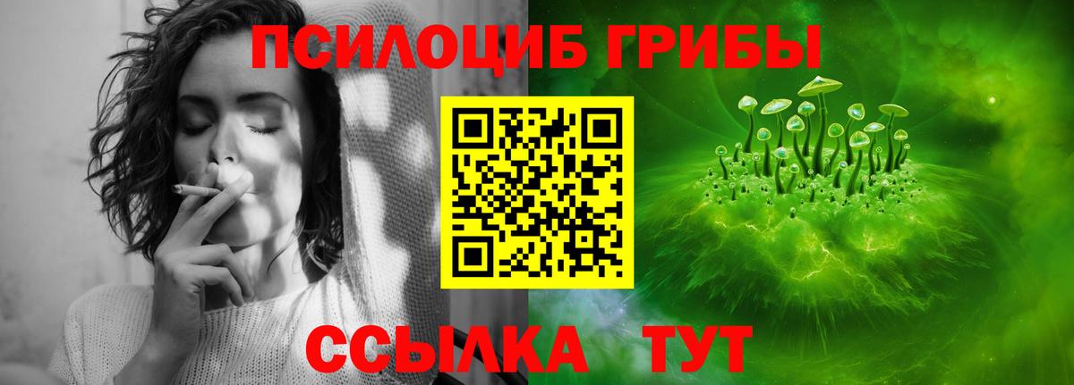 Галлюциногенные грибы ЛСД Отрадное